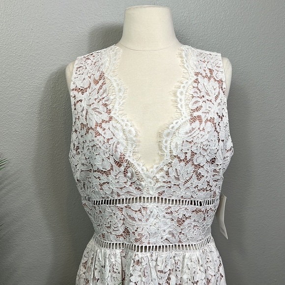 NWT Tobi Lace Midi Dress Fit Flare Cream Lace Nude Underlining Large - Picture 2 of 11